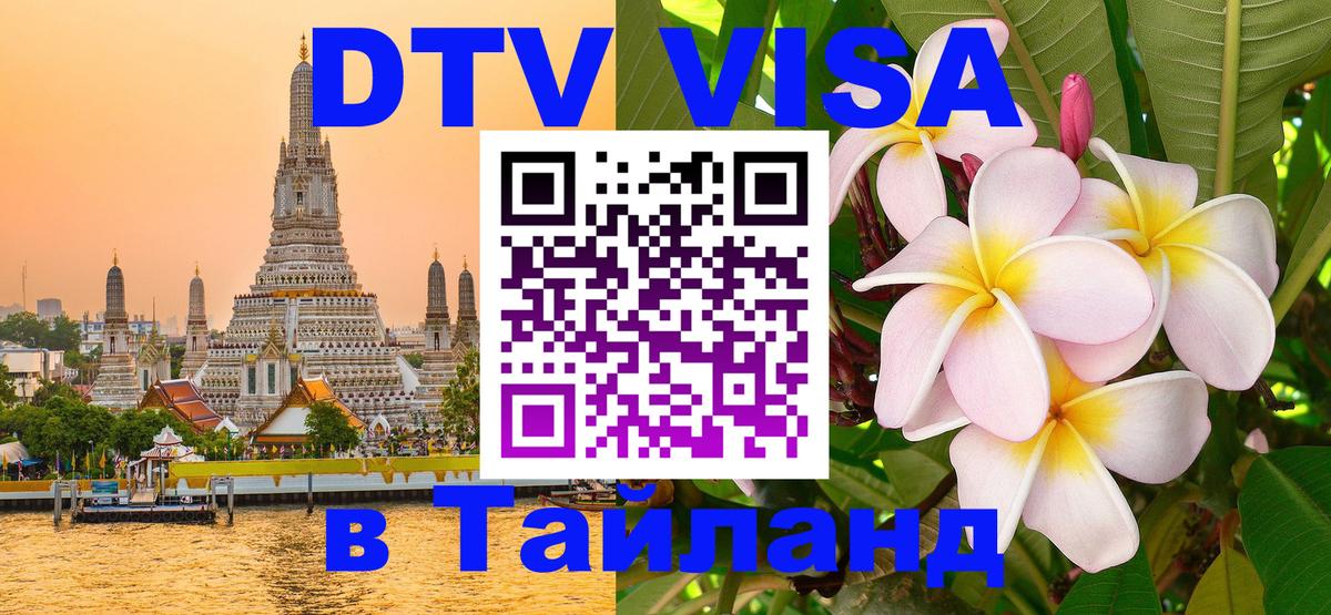 Оформление DTV визы под ключ: стоимость и тарифы, только загранпаспорт - 04.10.2025 